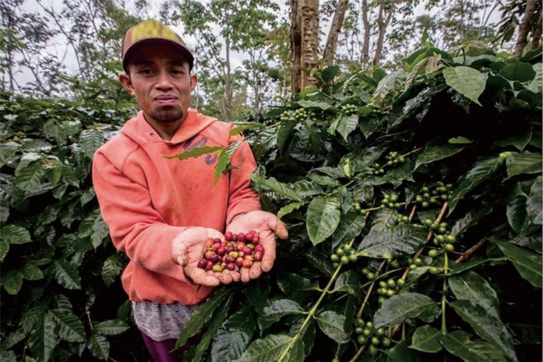 Kunci Pengembangan Usaha Hutan Berbasis Masyarakat